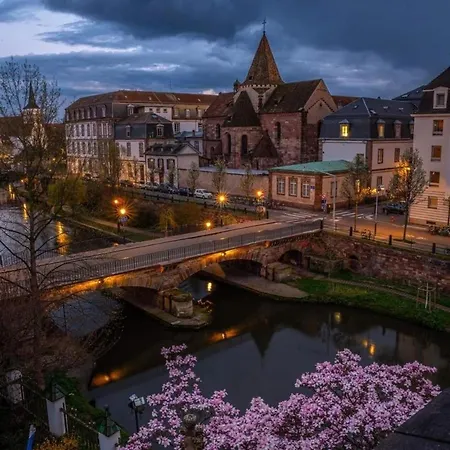 Daire & Hyper Centre De - Proche Cathedrale & Petite France *